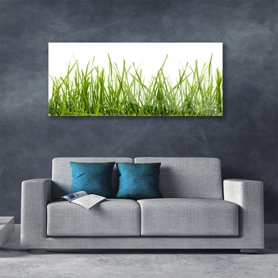 Image sur verre acrylique Herbe nature vert