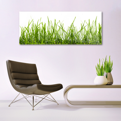 Image sur verre acrylique Herbe nature vert