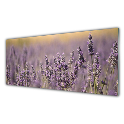 Image sur verre acrylique Fleurs floral violet