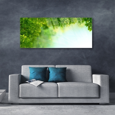 Image sur verre acrylique Feuilles nature vert