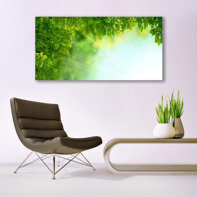 Image sur verre acrylique Feuilles nature vert