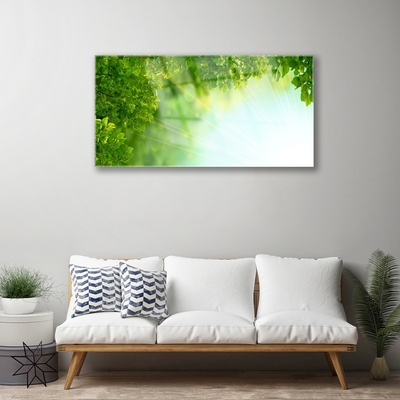 Image sur verre acrylique Feuilles nature vert