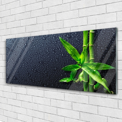 Image sur verre acrylique Bambou floral vert