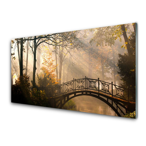 Image sur verre acrylique Forêt pont architecture brun vert