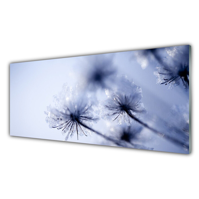 Image sur verre acrylique Pissenlit floral violet