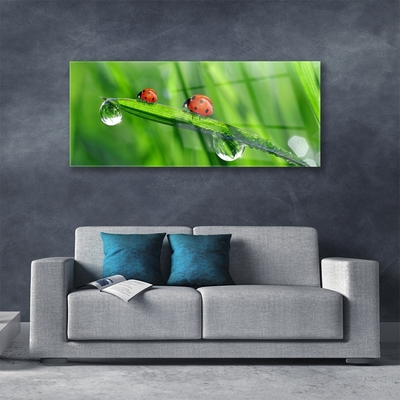 Image sur verre acrylique Coccinelle feuille floral vert rouge noir