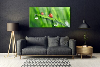 Image sur verre acrylique Coccinelle feuille floral vert rouge noir