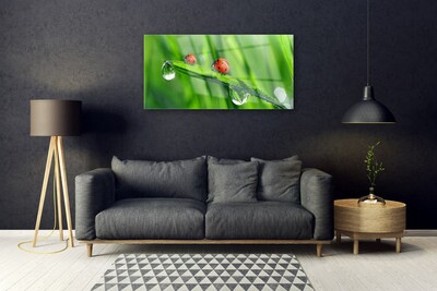 Image sur verre acrylique Coccinelle feuille floral vert rouge noir