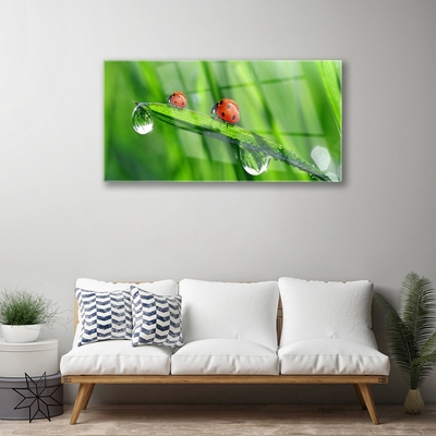 Image sur verre acrylique Coccinelle feuille floral vert rouge noir