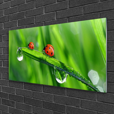 Image sur verre acrylique Coccinelle feuille floral vert rouge noir