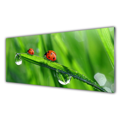 Image sur verre acrylique Coccinelle feuille floral vert rouge noir