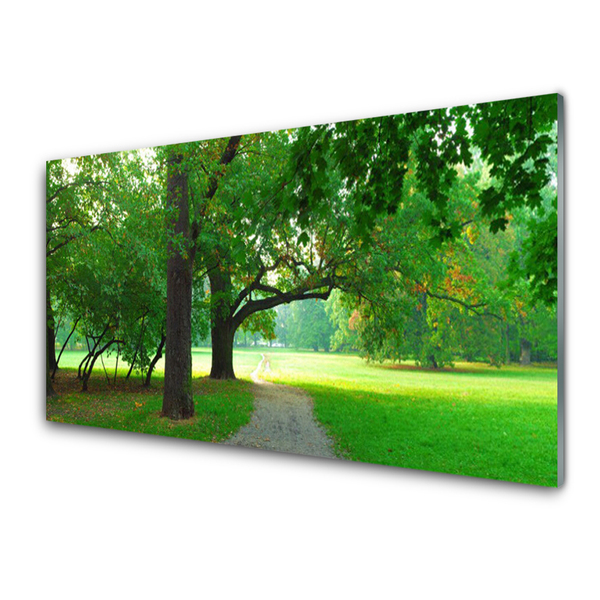 Image sur verre acrylique Sentier arbres nature brun vert