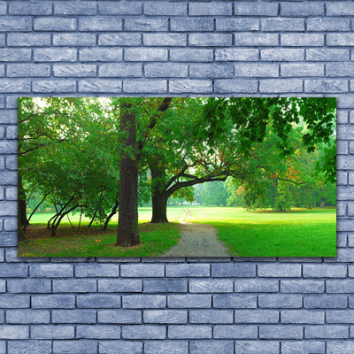 Image sur verre acrylique Sentier arbres nature brun vert