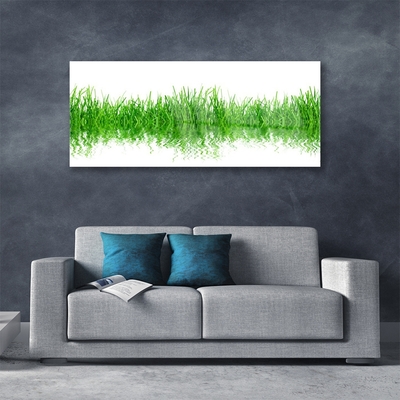 Image sur verre acrylique Herbe nature vert