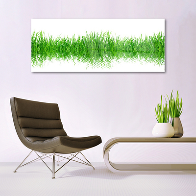 Image sur verre acrylique Herbe nature vert