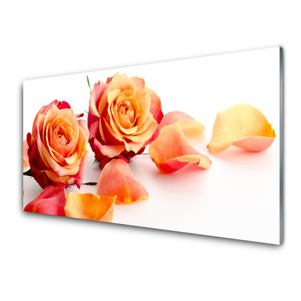 Image sur verre acrylique Roses floral jaune orange