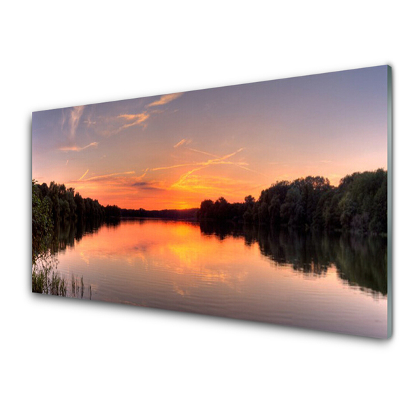 Image sur verre acrylique Forêt lac paysage jaune vertgris