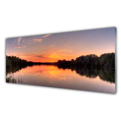 Image sur verre acrylique Forêt lac paysage jaune vertgris