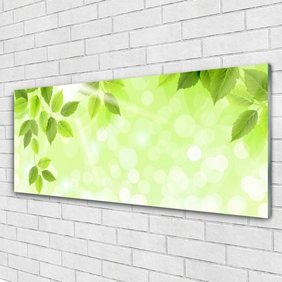 Image sur verre acrylique Feuilles floral vert