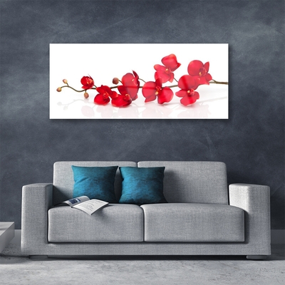 Image sur verre acrylique Fleurs floral rouge