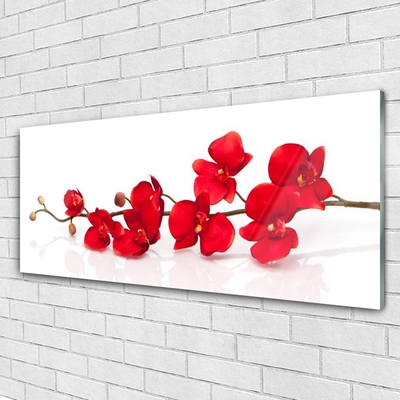 Image sur verre acrylique Fleurs floral rouge