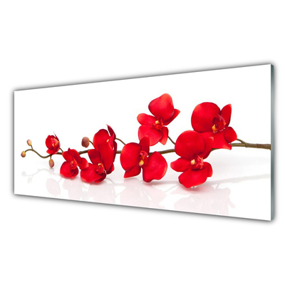 Image sur verre acrylique Fleurs floral rouge