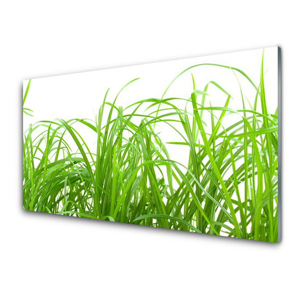 Image sur verre acrylique Herbe nature vert