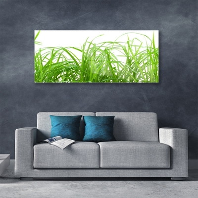 Image sur verre acrylique Herbe nature vert