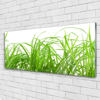 Image sur verre acrylique Herbe nature vert