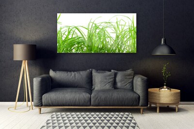 Image sur verre acrylique Herbe nature vert