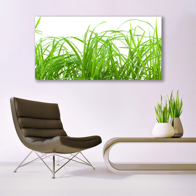 Image sur verre acrylique Herbe nature vert