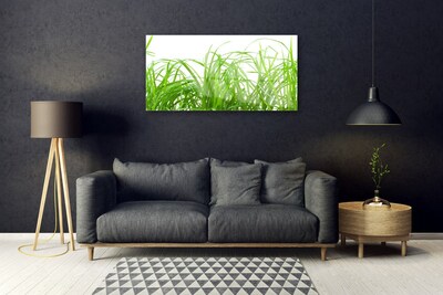 Image sur verre acrylique Herbe nature vert