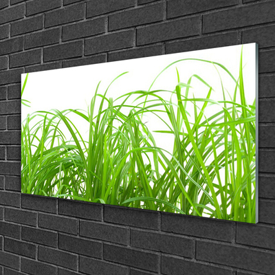 Image sur verre acrylique Herbe nature vert