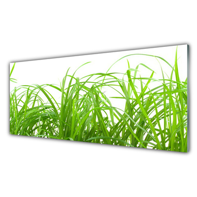 Image sur verre acrylique Herbe nature vert