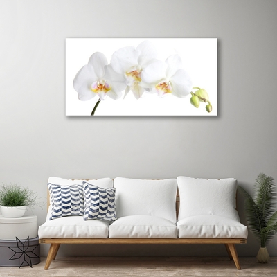 Image sur verre acrylique Fleurs floral blanc