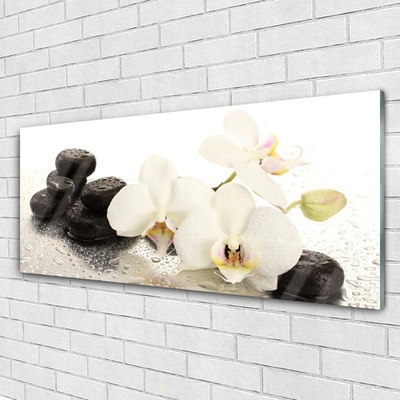 Image sur verre acrylique Pierres fleurs floral blanc noir