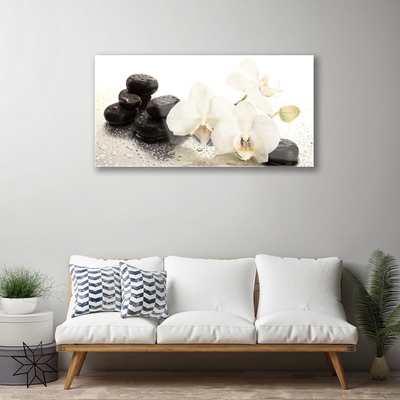 Image sur verre acrylique Pierres fleurs floral blanc noir