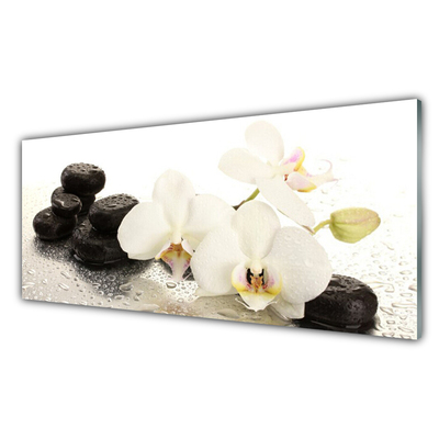 Image sur verre acrylique Pierres fleurs floral blanc noir