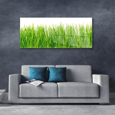 Image sur verre acrylique Herbe nature vert