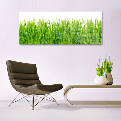 Image sur verre acrylique Herbe nature vert