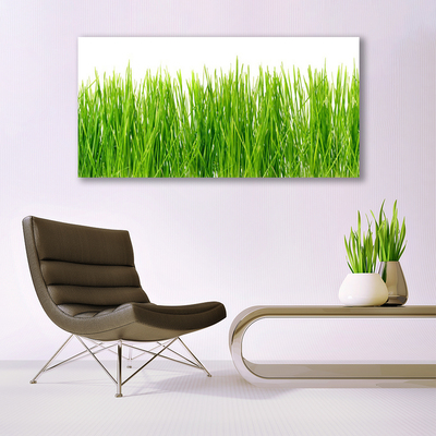 Image sur verre acrylique Herbe nature vert