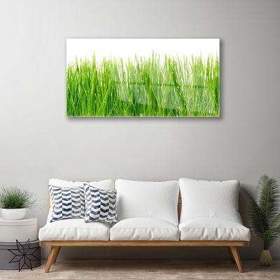 Image sur verre acrylique Herbe nature vert