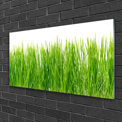 Image sur verre acrylique Herbe nature vert