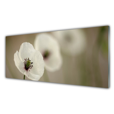 Image sur verre acrylique Fleur floral blanc