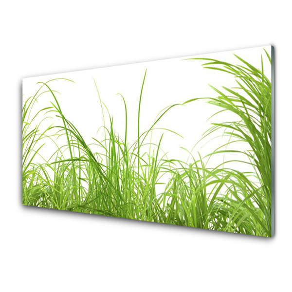 Image sur verre acrylique Herbe nature vert