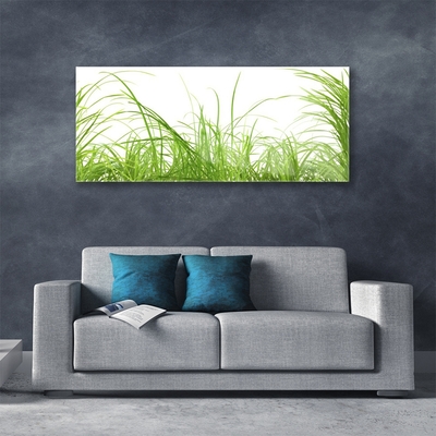 Image sur verre acrylique Herbe nature vert