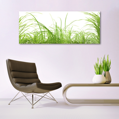 Image sur verre acrylique Herbe nature vert