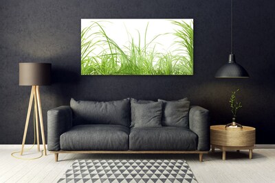 Image sur verre acrylique Herbe nature vert