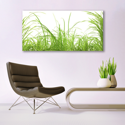 Image sur verre acrylique Herbe nature vert