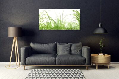 Image sur verre acrylique Herbe nature vert